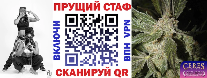 A-PVP Чаплыгин
