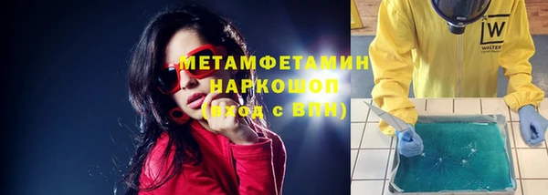прущие грибы Вяземский