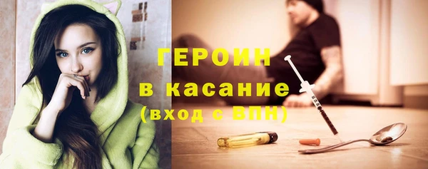 прущие грибы Вяземский