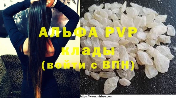 прущие грибы Вяземский