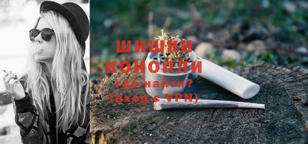 прущие грибы Вяземский
