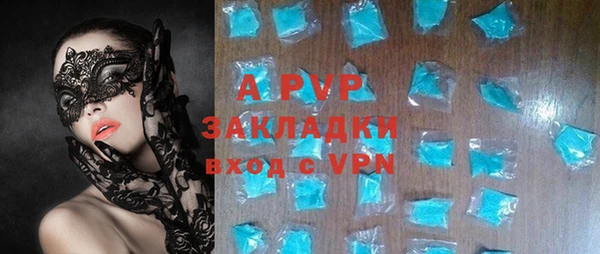 прущие грибы Вяземский