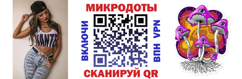 Псилоцибиновые грибы Psilocybine cubensis Чаплыгин