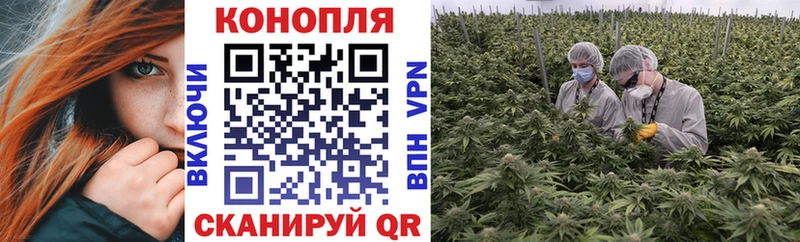 Купить закладки  Чаплыгин  Канабис MAZAR 